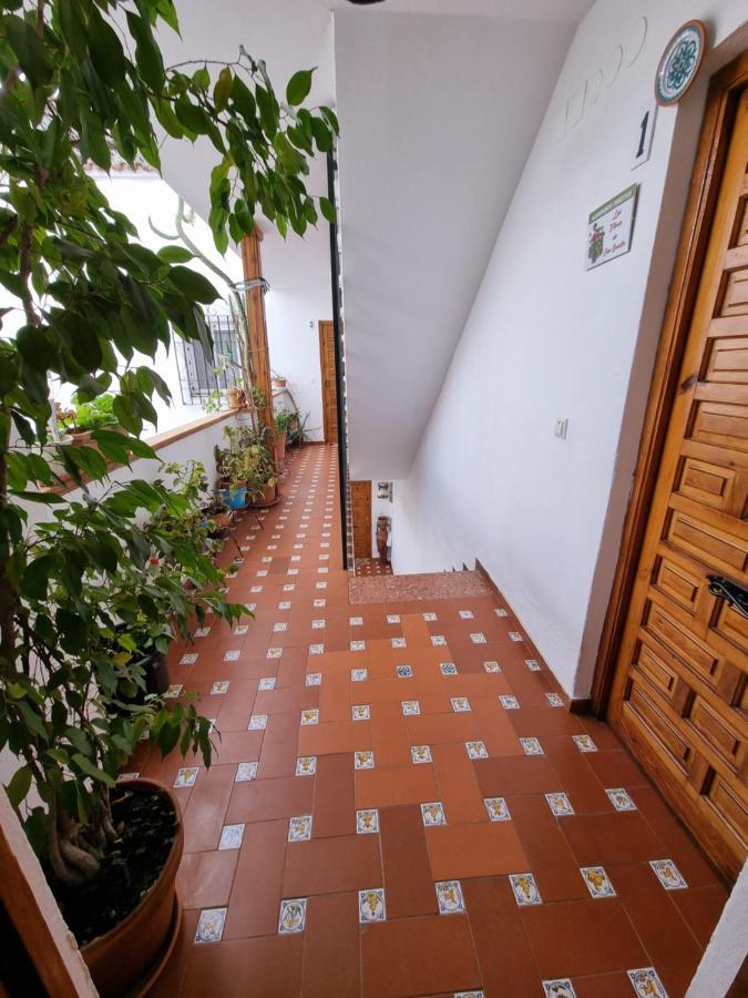 Apartamento Entre Patios San Basilio Apartment Cordoba Exterior photo